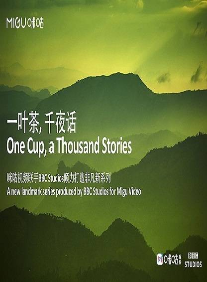 一叶茶,千夜话