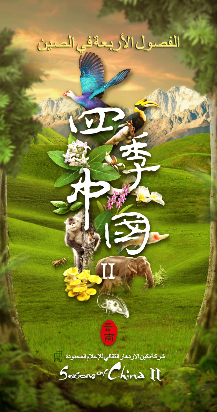 【中阿媒体合作】中国—阿拉伯国家广播电视交流合作成果展开展（下）14.png